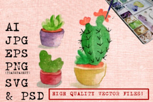 Cactus Watercolor Illustrations