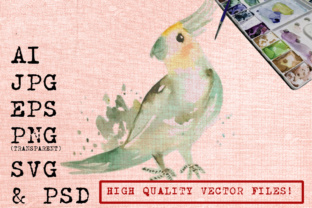 Cockatoo Bird Watercolor Illustrations