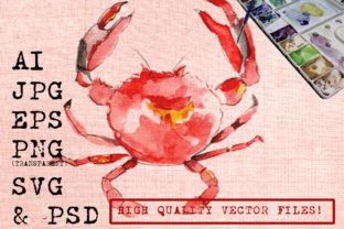 Crab Watercolor Illustrations