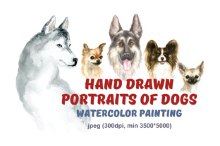 Hand Drawn, Watercolor Portraits of Dogs and Illustrations