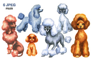 Poodles Watercolor Set & Illustrations