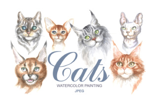 Watercolor Cats Illustrations