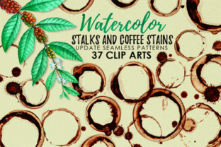 Watercolor Coffee Stains and Stalks Illustrations