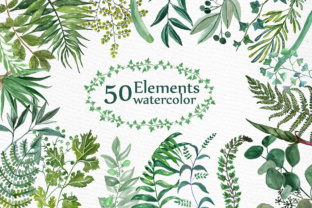 Watercolor Ferns Clipart Illustrations