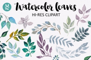 Watercolor Leaves Collection and Illustrations