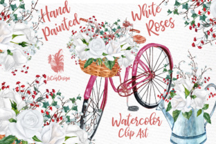 Watercolor Roses Clipart Illustrations