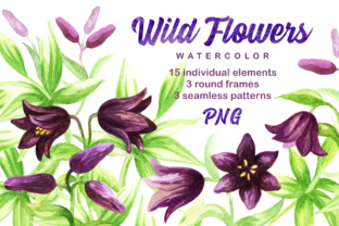Wild Flowers. Watercolor Set. Illustrations