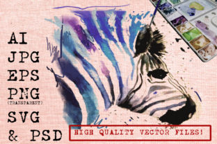 Zebri the Zebra Watercolor Illustrations